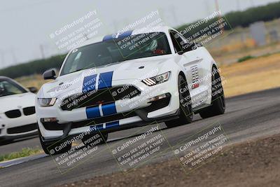 media/Jun-24-2023-Speed SF (Sat) [[1b7e0c161d]]/Gold Group/Session 1 (Sweeper)/